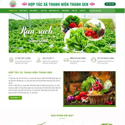Mẫu website thực phẩm sạch 08